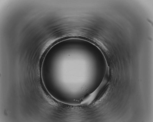 X0000096480934200801311553