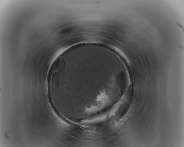 X0000096480935200801311553