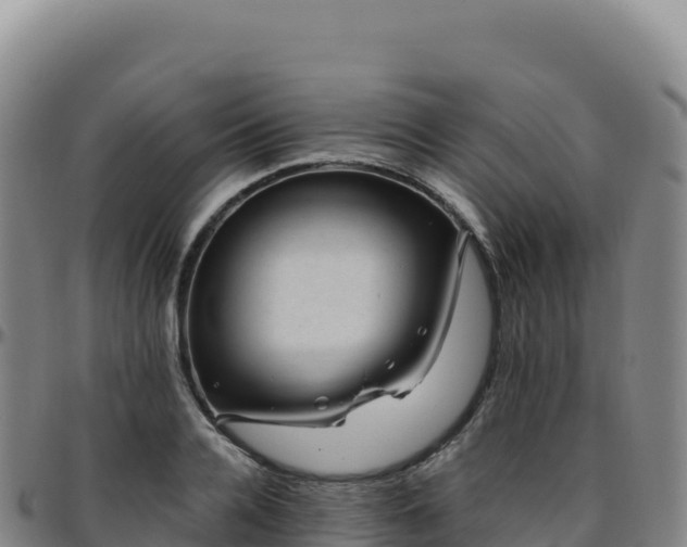 X0000096480936200801311553