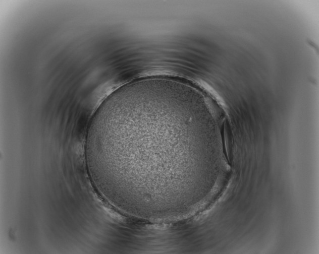 X0000096480937200801311553