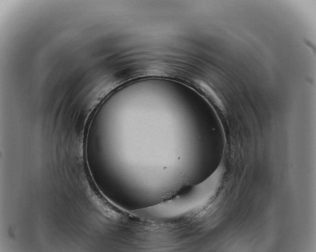 X0000096480938200801311553