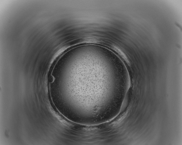 X0000096480939200801311553