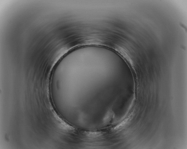 X0000096480941200801311553