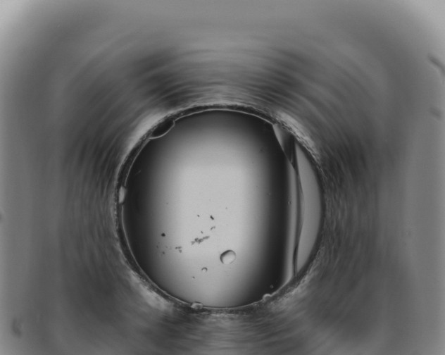 X0000096480942200801311553