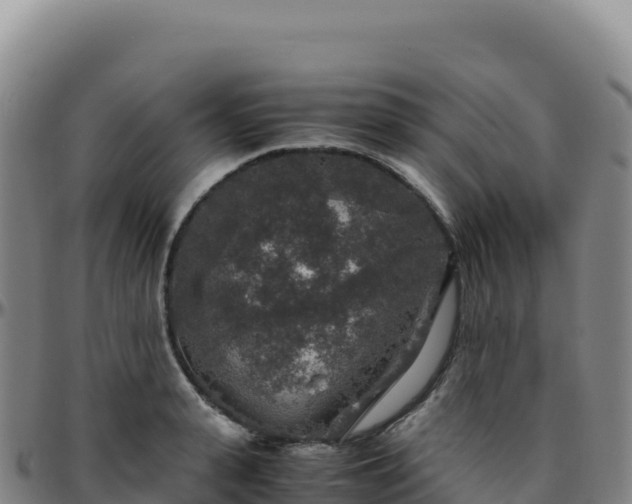 X0000096480943200801311553