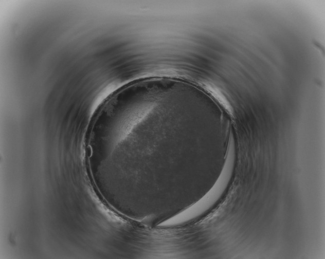 X0000096480944200801311553