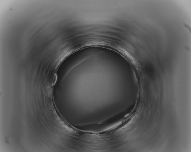 X0000096480945200801311553