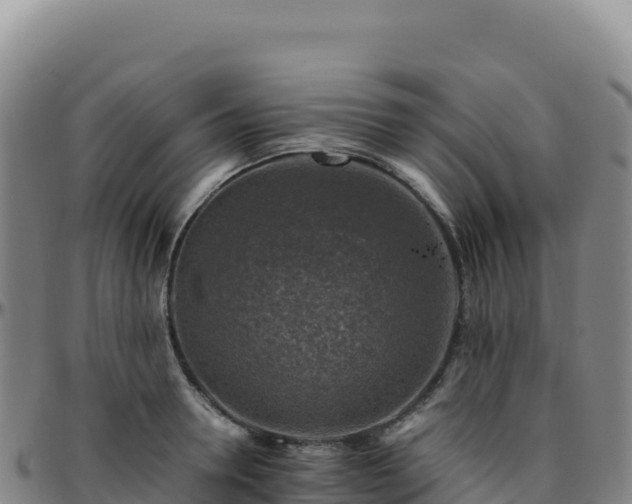 X0000096480946200801311553