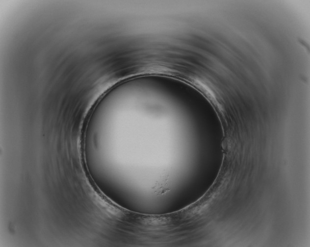 X0000096480947200801311553