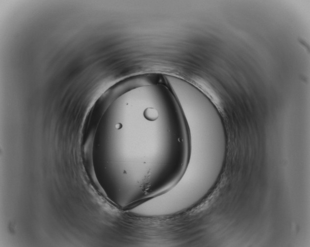 X0000096480948200801311553