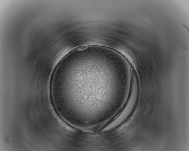 X0000096480949200801311553