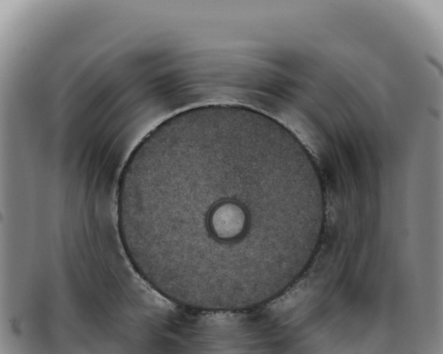 X0000096480950200801311553