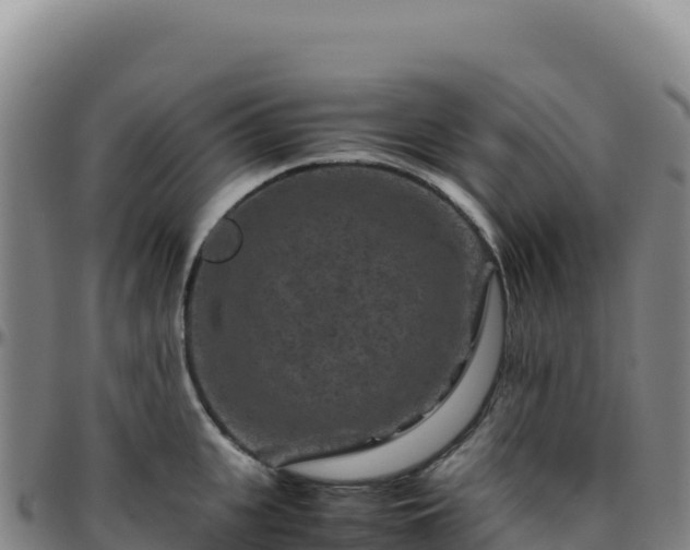 X0000096480951200801311553