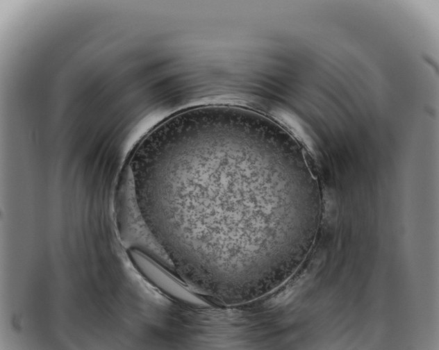 X0000096480952200801311553