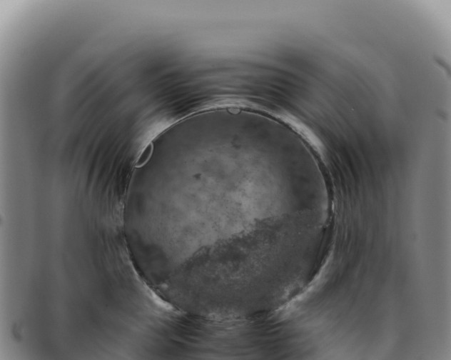 X0000096480953200801311553