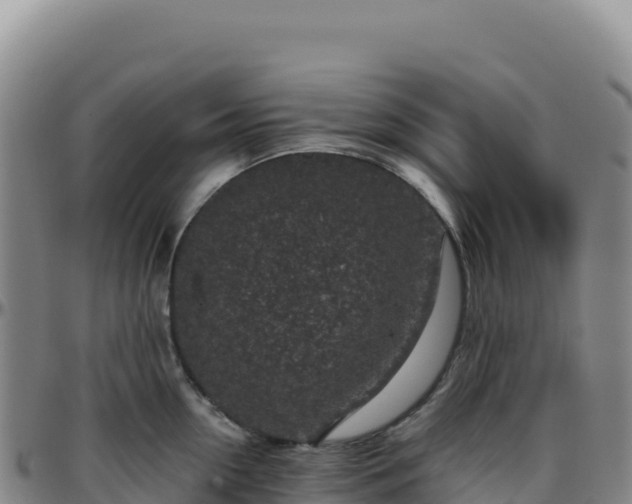 X0000096480954200801311553