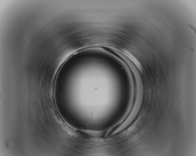 X0000096480956200801311553