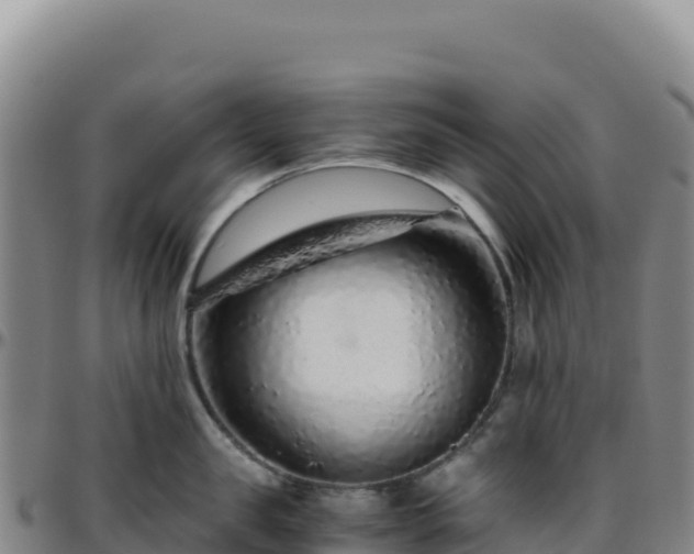 X0000096480957200801311553