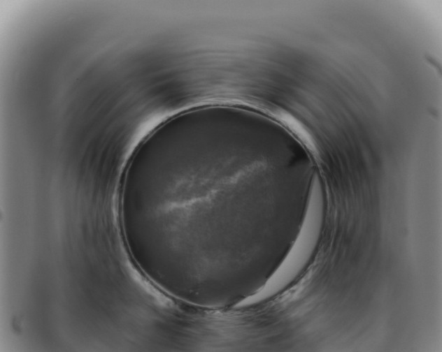 X0000096480958200801311553