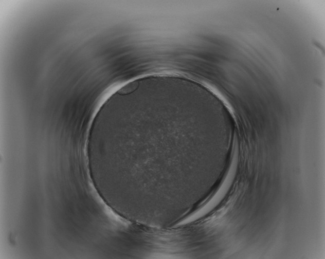 X0000096480959200801311553