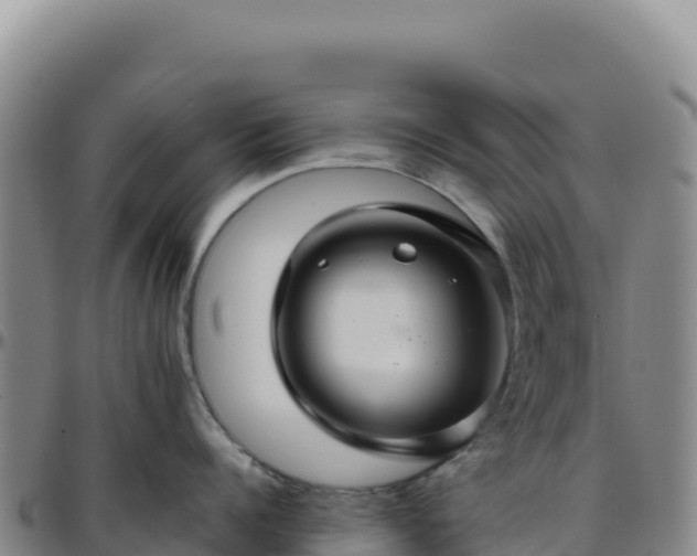 X0000096480960200801311553