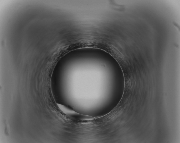 X0000096480961200801311553