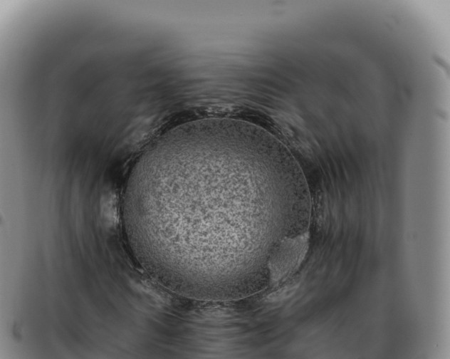 X0000096480962200801311553