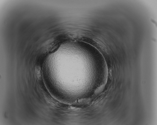 X0000096480963200801311552