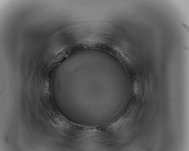 X0000096480964200801311552