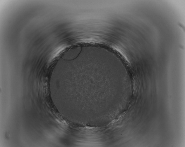 X0000096480968200801311552