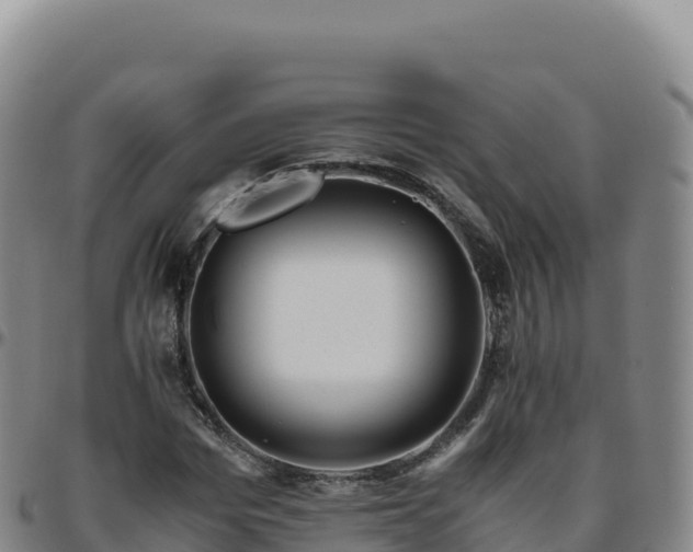 X0000096480969200801311552