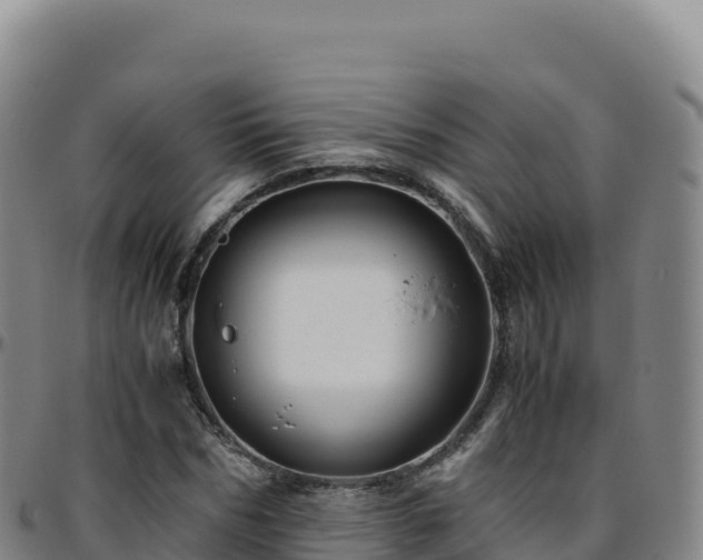 X0000096480970200801311552