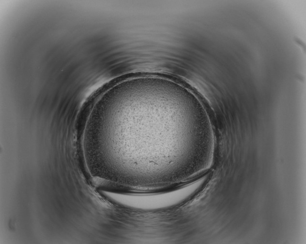 X0000096480971200801311552