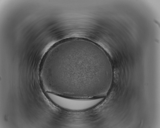 X0000096480972200801311552