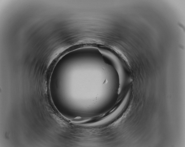 X0000096480973200801311552