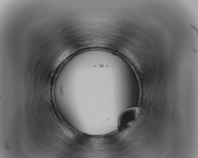 X0000096480978200801311552