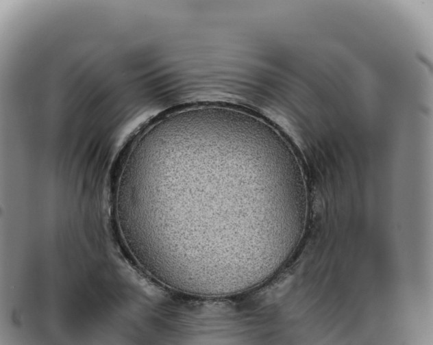 X0000096480979200801311552