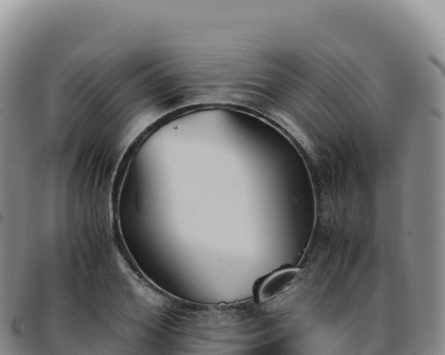 X0000096480980200801311552