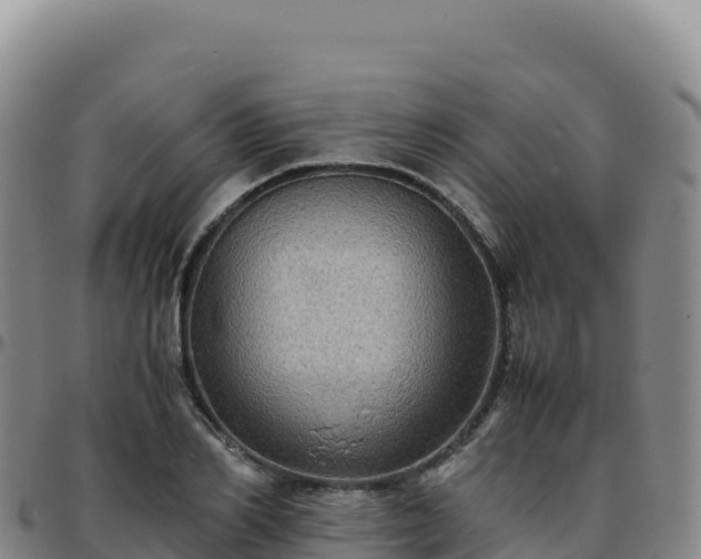 X0000096480982200801311552