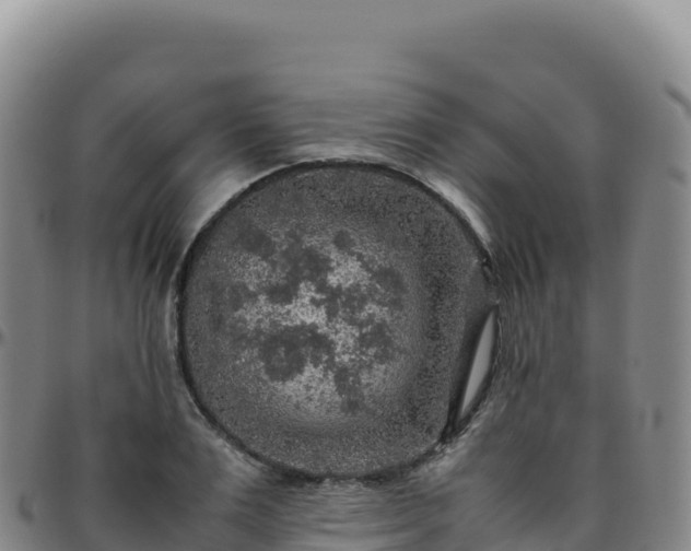 X0000096480983200801311552