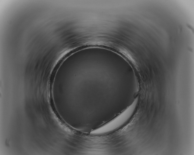 X0000096480984200801311552