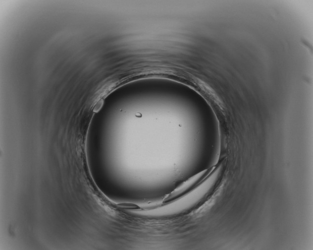 X0000096480985200801311552