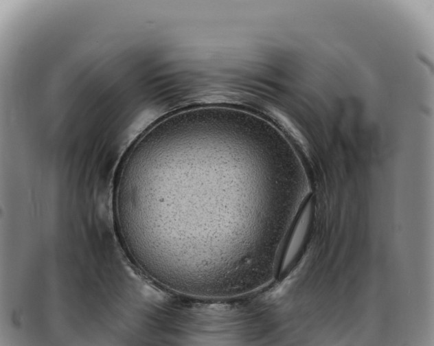 X0000096480986200801311552