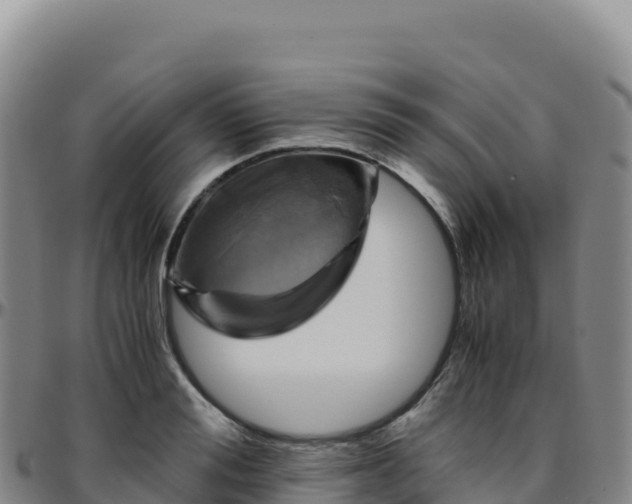 X0000096480988200801311552