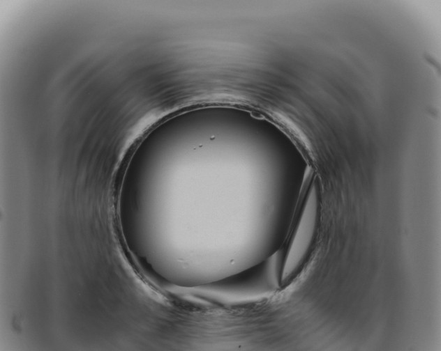 X0000096480989200801311552