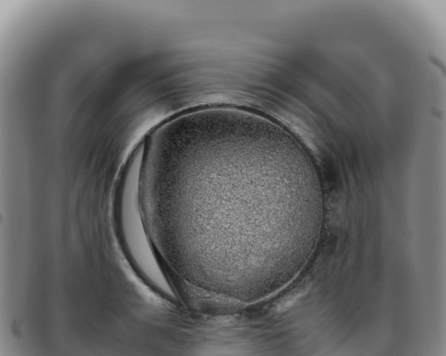 X0000096480991200801311552