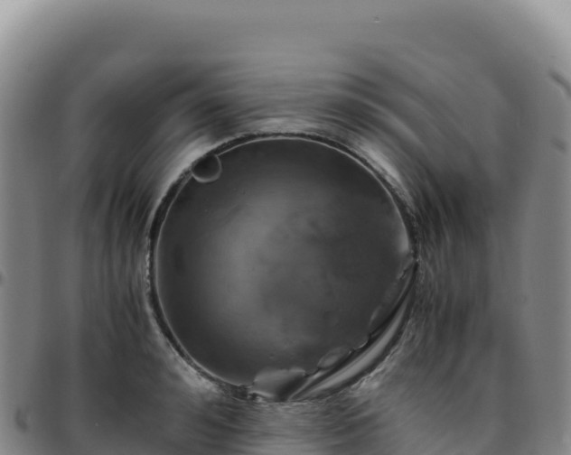 X0000096480992200801311552