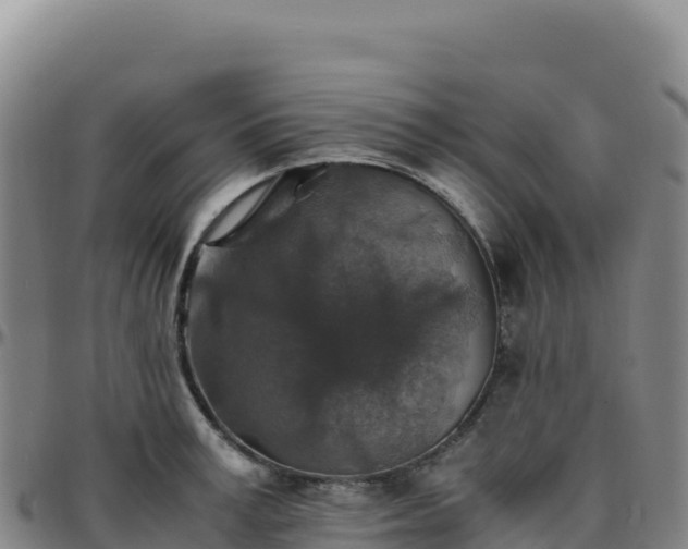 X0000096480995200801311552