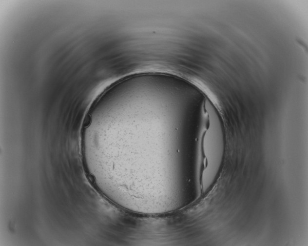 X0000096480996200801311552