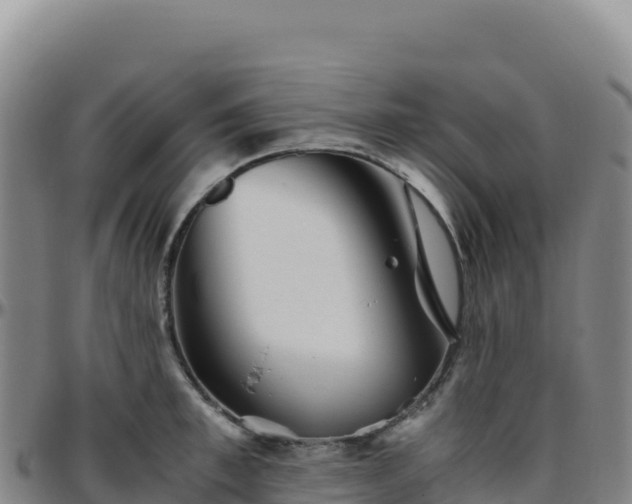 X0000096480997200801311552